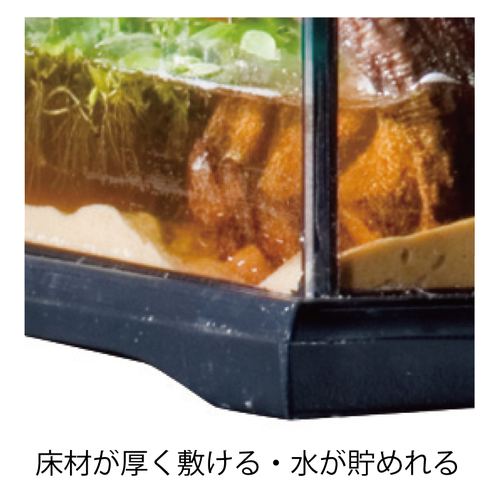 グラステラリウム4545 PT2605 | ジェックス株式会社