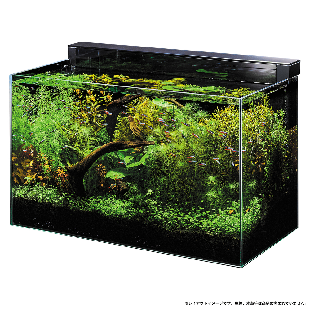 Ga GLASS CUSTOM 600(グラスカスタム600) | ジェックス株式会社