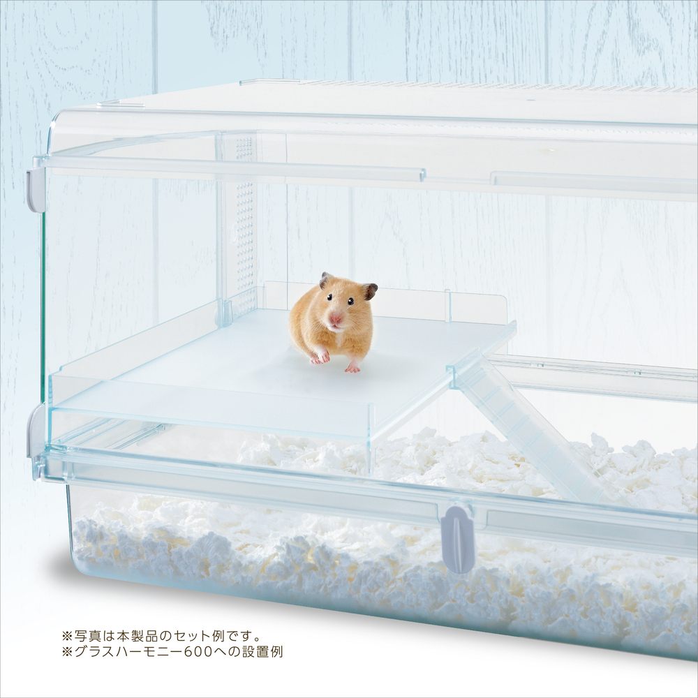 Amazon.co.jp: ジェックス Harmony グラスハーモニーマルチ600N ガラス