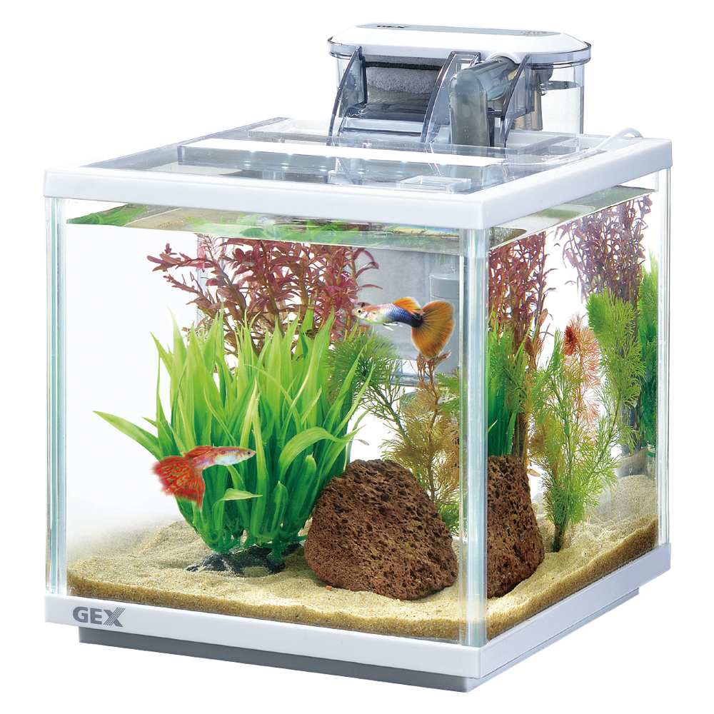 アクアリウム引退セット ガラス水槽と外部フィルターとライト