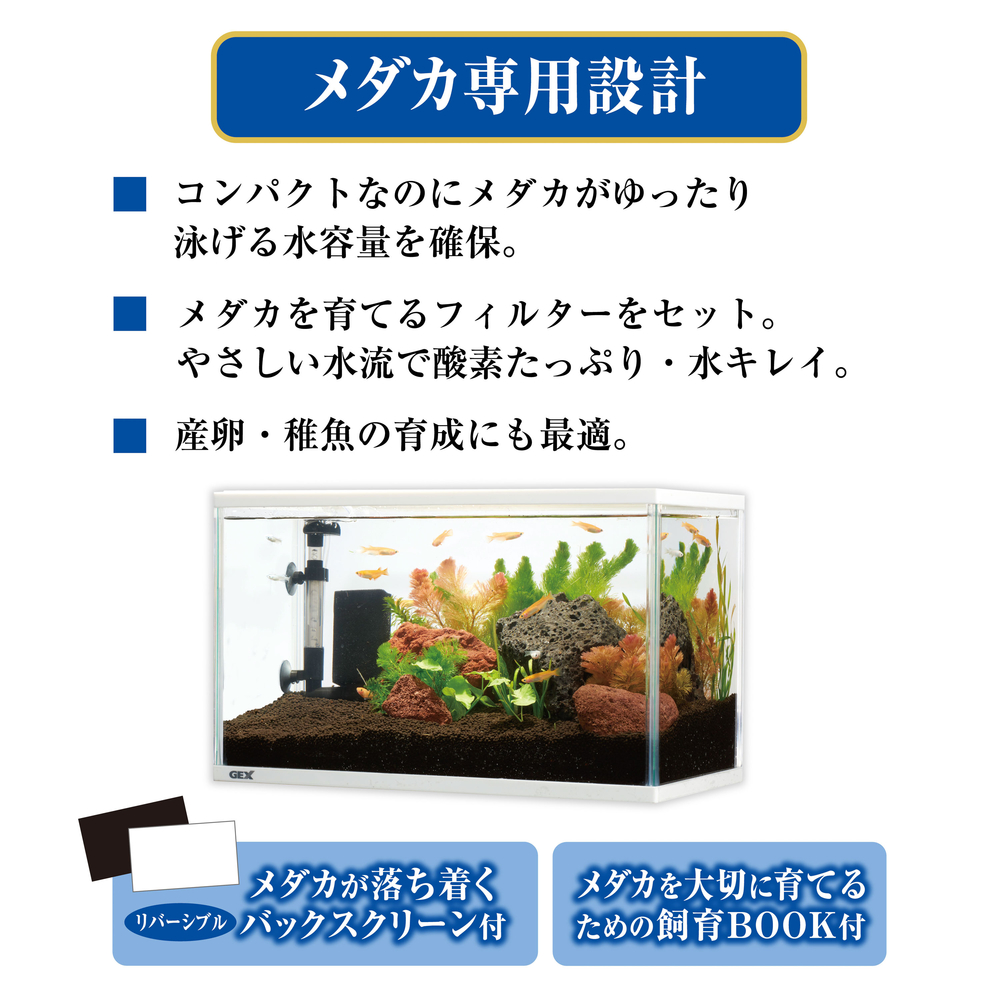 メダカ元気 メダカのための水槽セット400 | ジェックス株式会社