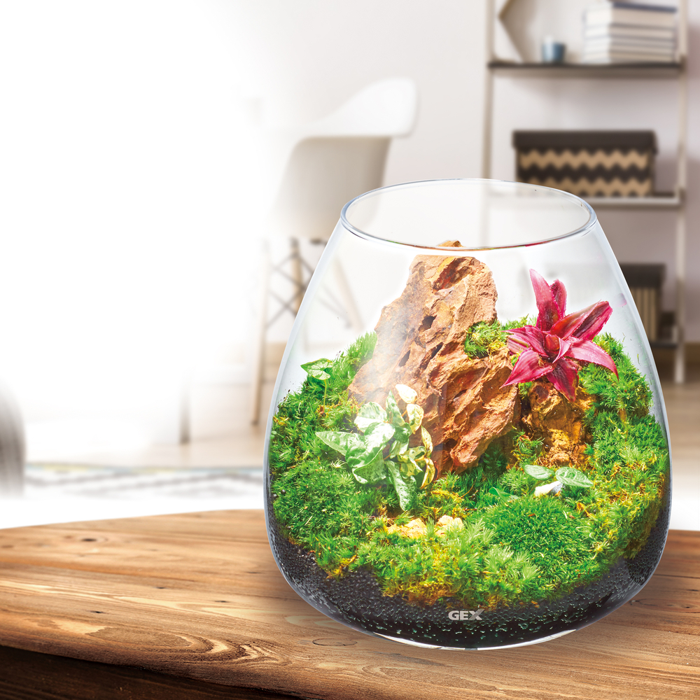 グラスアクア ティアー | ジェックス株式会社