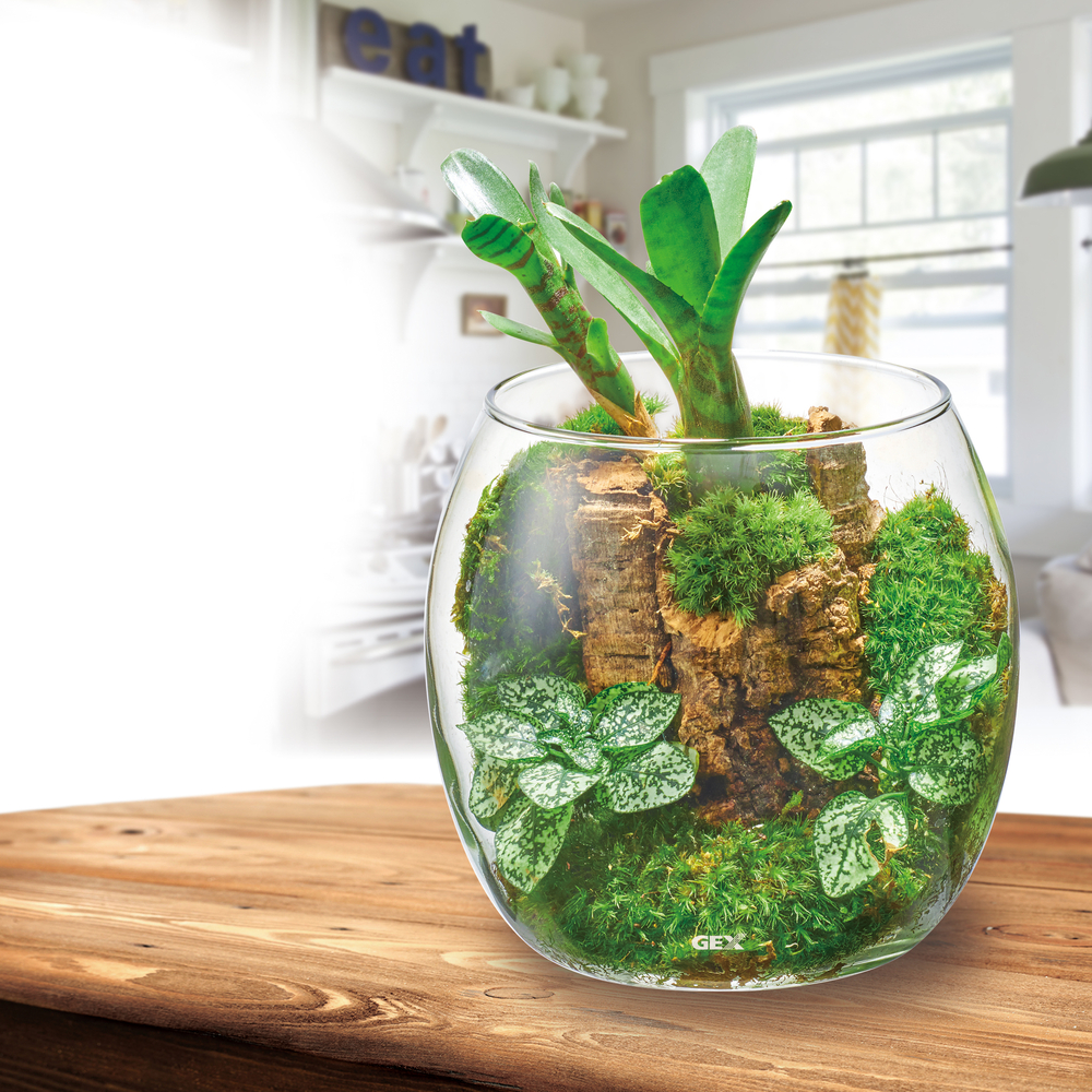 グラスアクア ドロップ | ジェックス株式会社