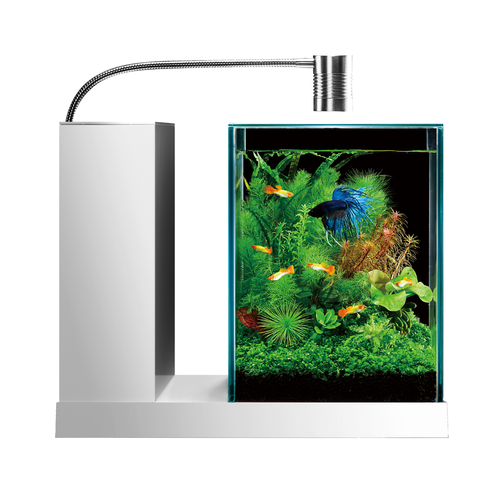 GEX aquarista Glassterior | ジェックス株式会社