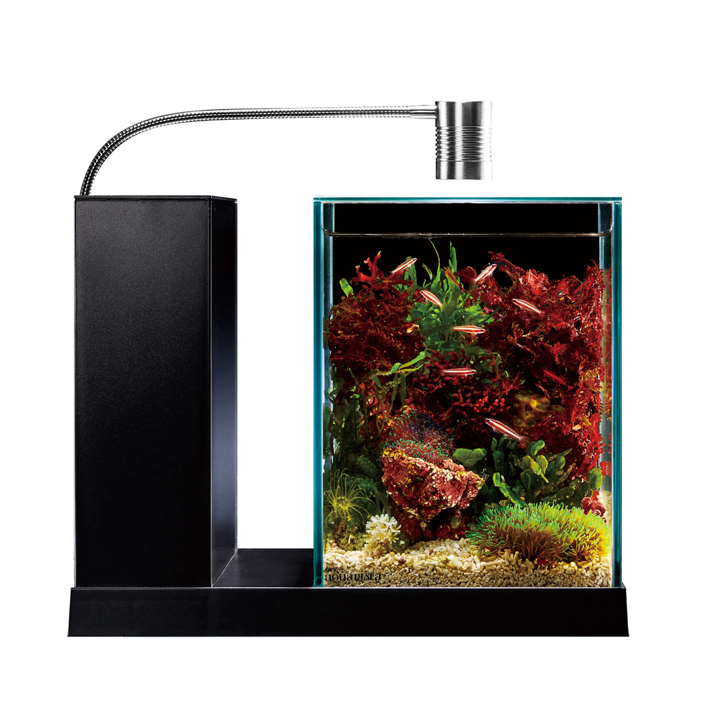 GEX aquarista AQUA-U 2.0 Black | ジェックス株式会社