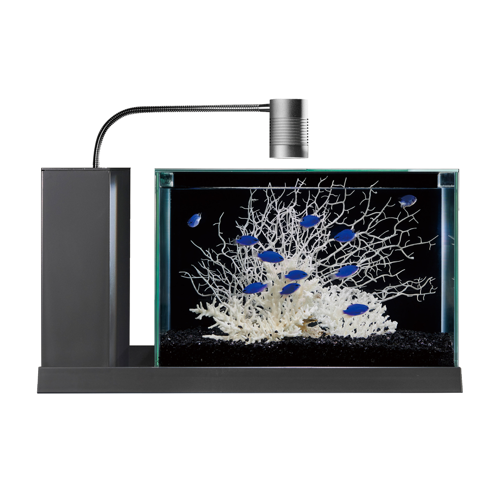 数量限定】GEX aquarista AQUA-U WIDE 2.0 Gray | ジェックス株式会社