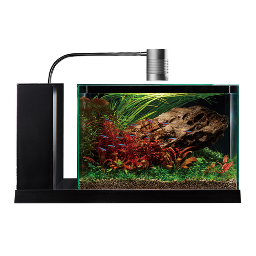 GEX aquarista Glassterior | ジェックス株式会社