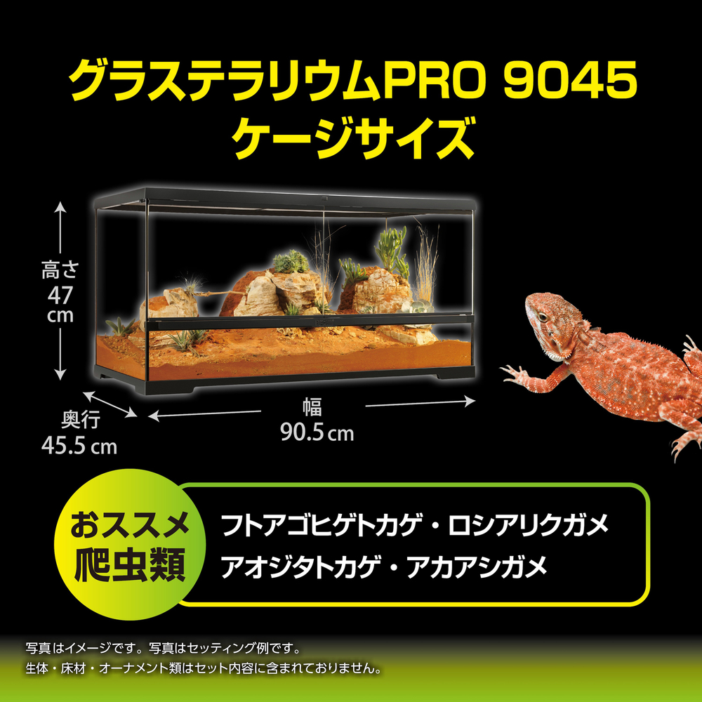 グラステラリウム 4545 【直接引き取り可】 グラステラリウム6045