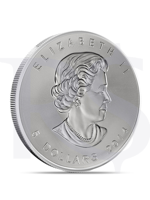 Shop 2014 Canada Maple Leaf 1 oz Silver Coin (with Capsule): High