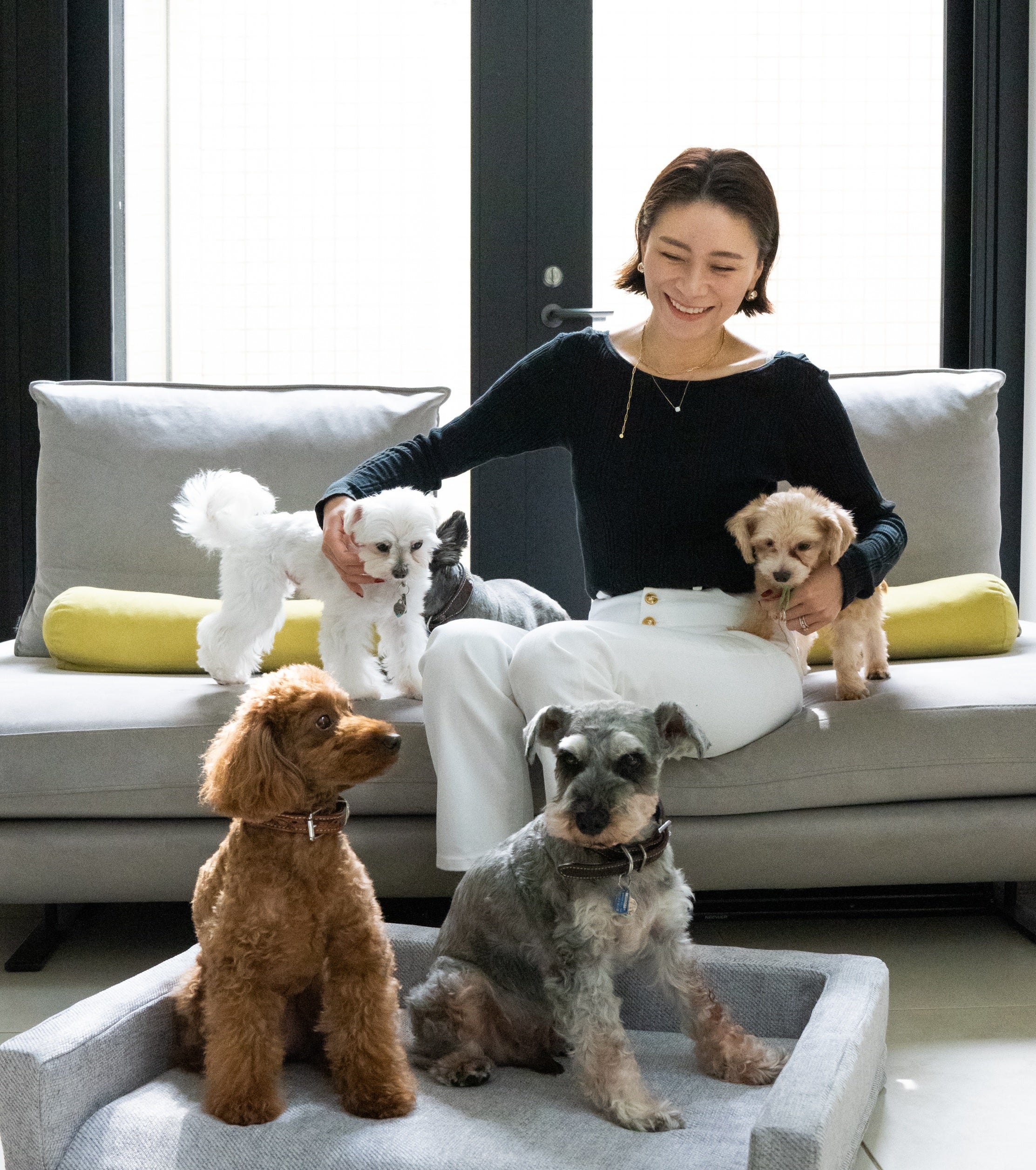 心と健康に寄り添った機能性ペットベッド「NOMIN PET BED」マンダリン