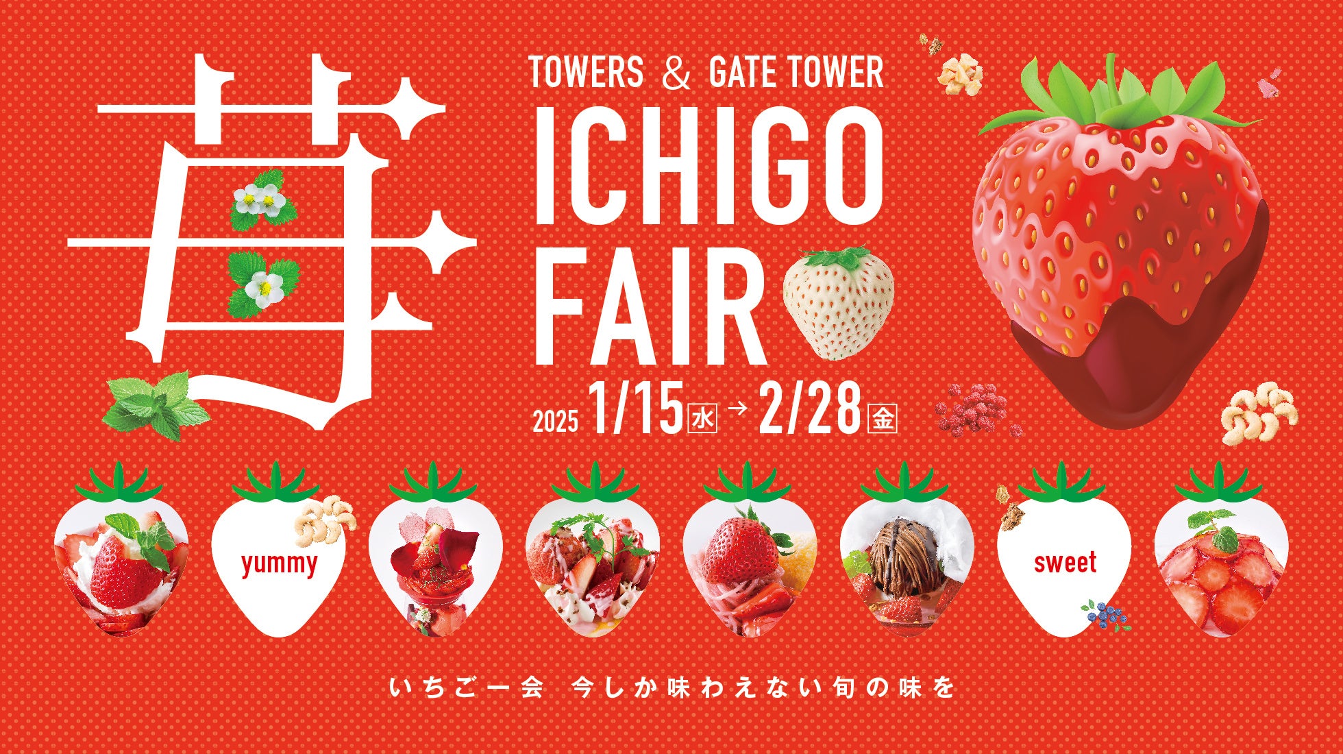 いちご いちこ いちこ いちご様購入専用 いちご adidas ZX 8000