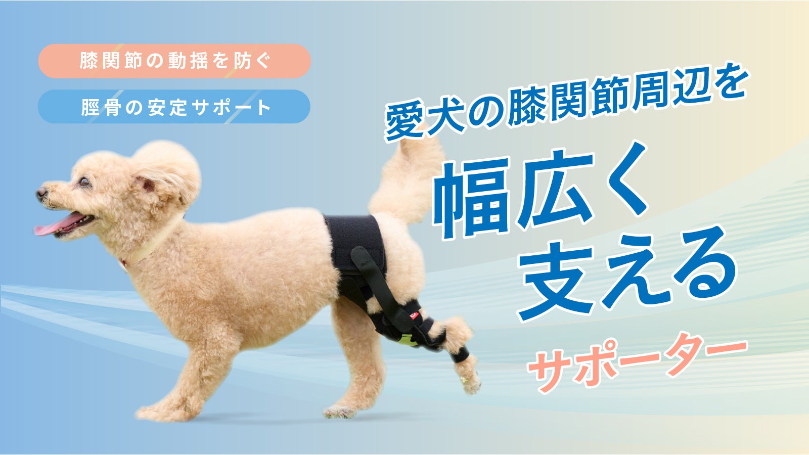 犬用膝サポーターでペットのQOL向上へ！株式会社anifull、オーダー