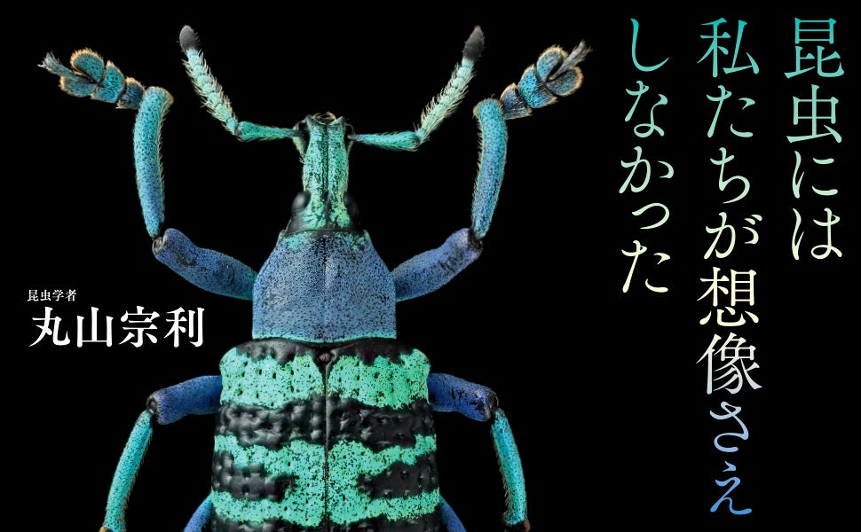 昆虫の超美麗写真集『神秘の標本箱 ‐昆虫‐』発売 2024年度「動物学教育