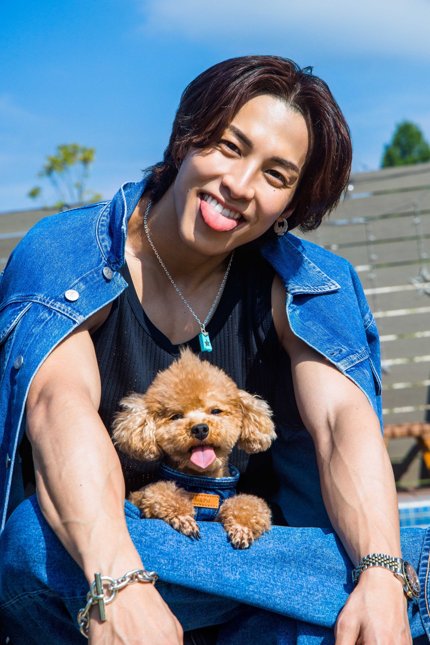 THE RAMPAGE ランペ ジャパラン RIKU 青山陸クッション RIKU（THE