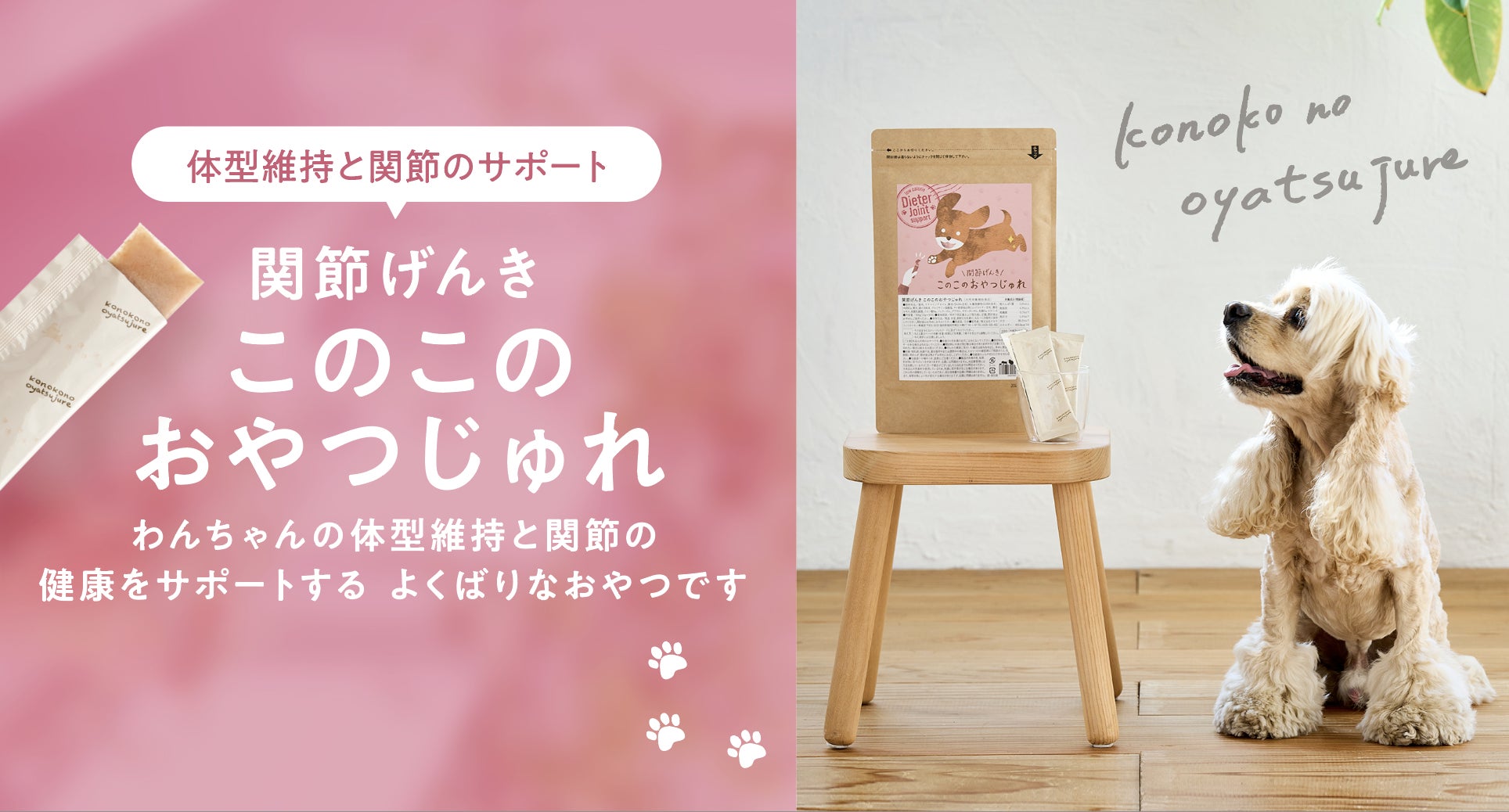 このこのおやつ じゅれ 3袋セット このこのおやつじゅれ｜コノコトトモニ