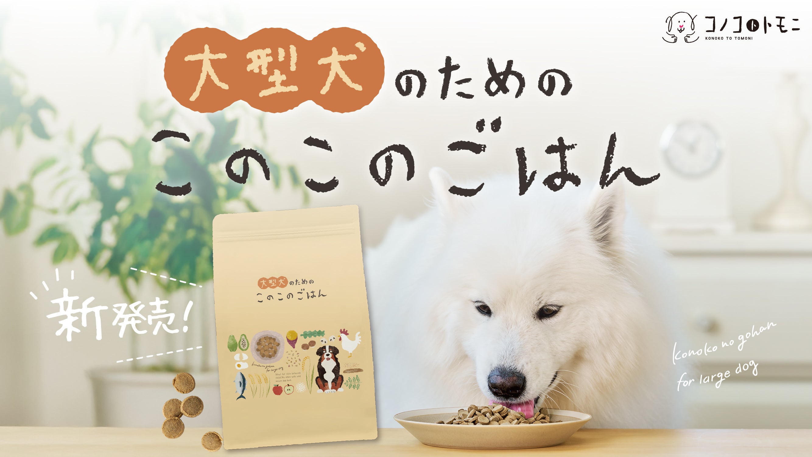 シニアのためのこのこのごはん ドライフード 2袋セット このこのごはん