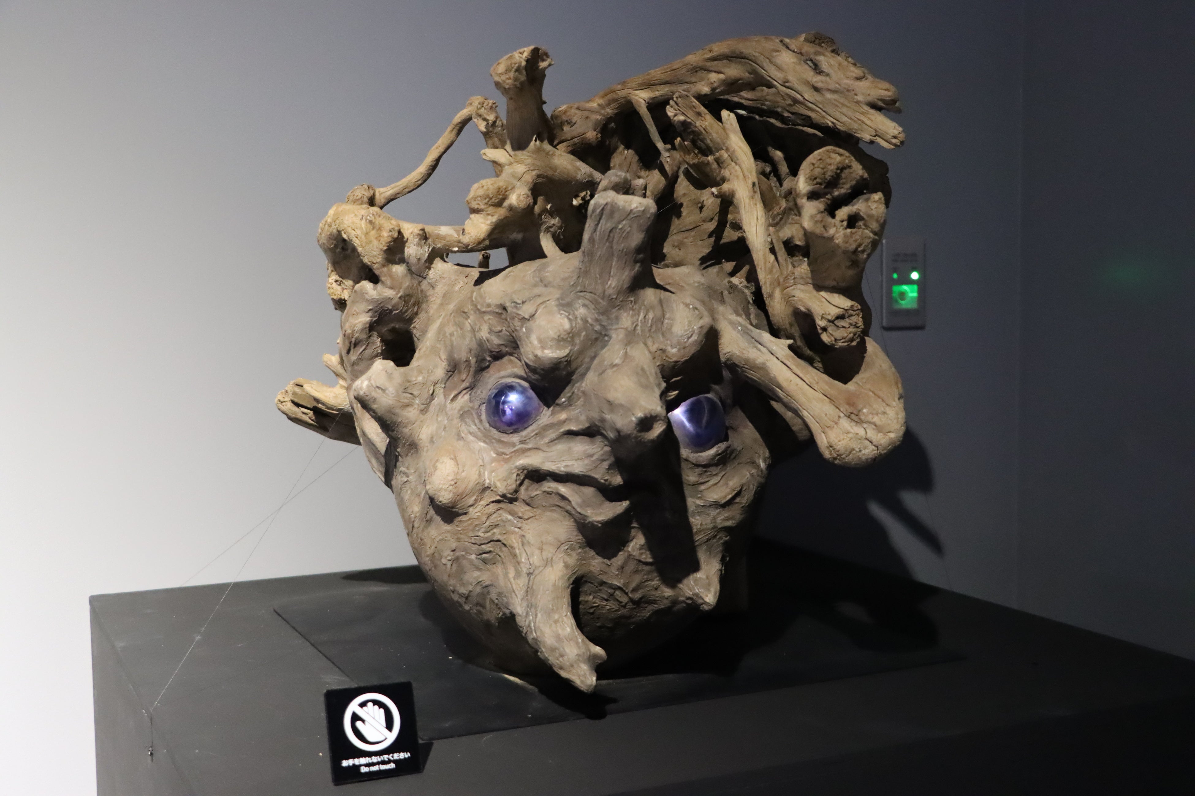 神戸の劇場型アクアリム átoa（アトア）】アーティスト 石井竜也氏が