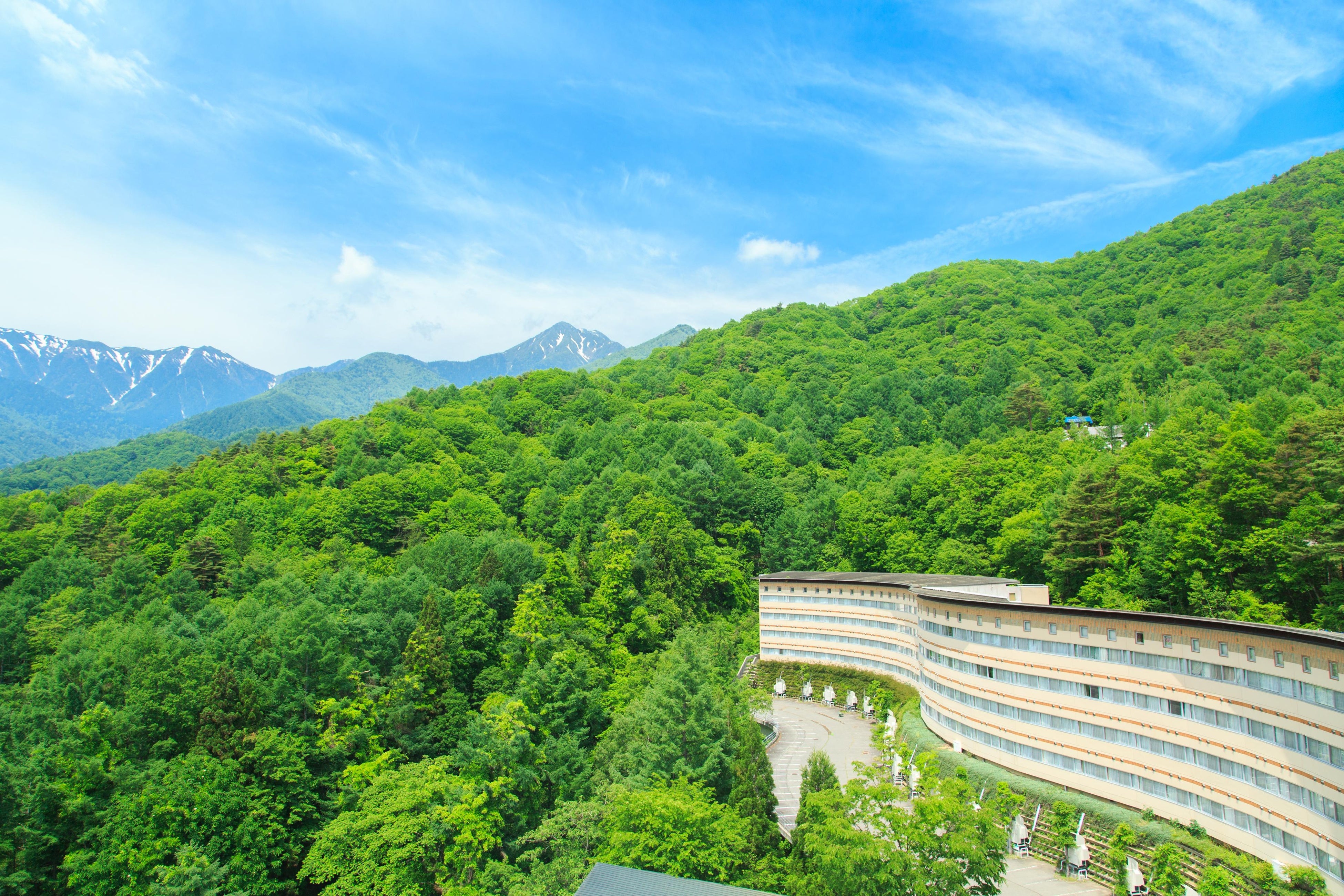 激安感謝セール！！REVERIE 200μ 10枚【容量アップしました