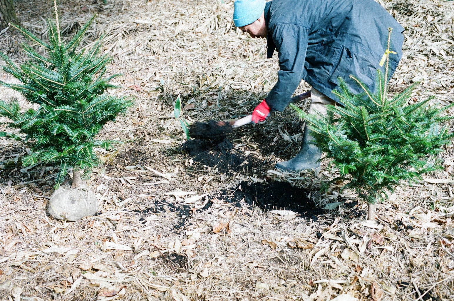 casa treeでは、オンラインショップにて 「天然のもみの⽊」の販売を