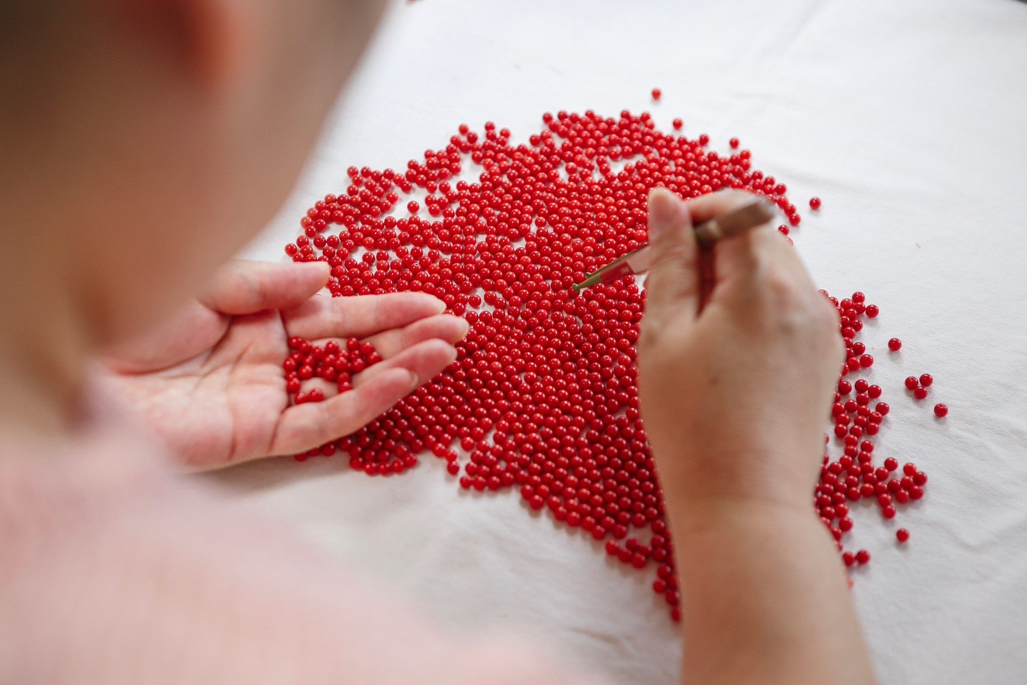 縁起物赤珊瑚桃珊瑚原木サンゴ