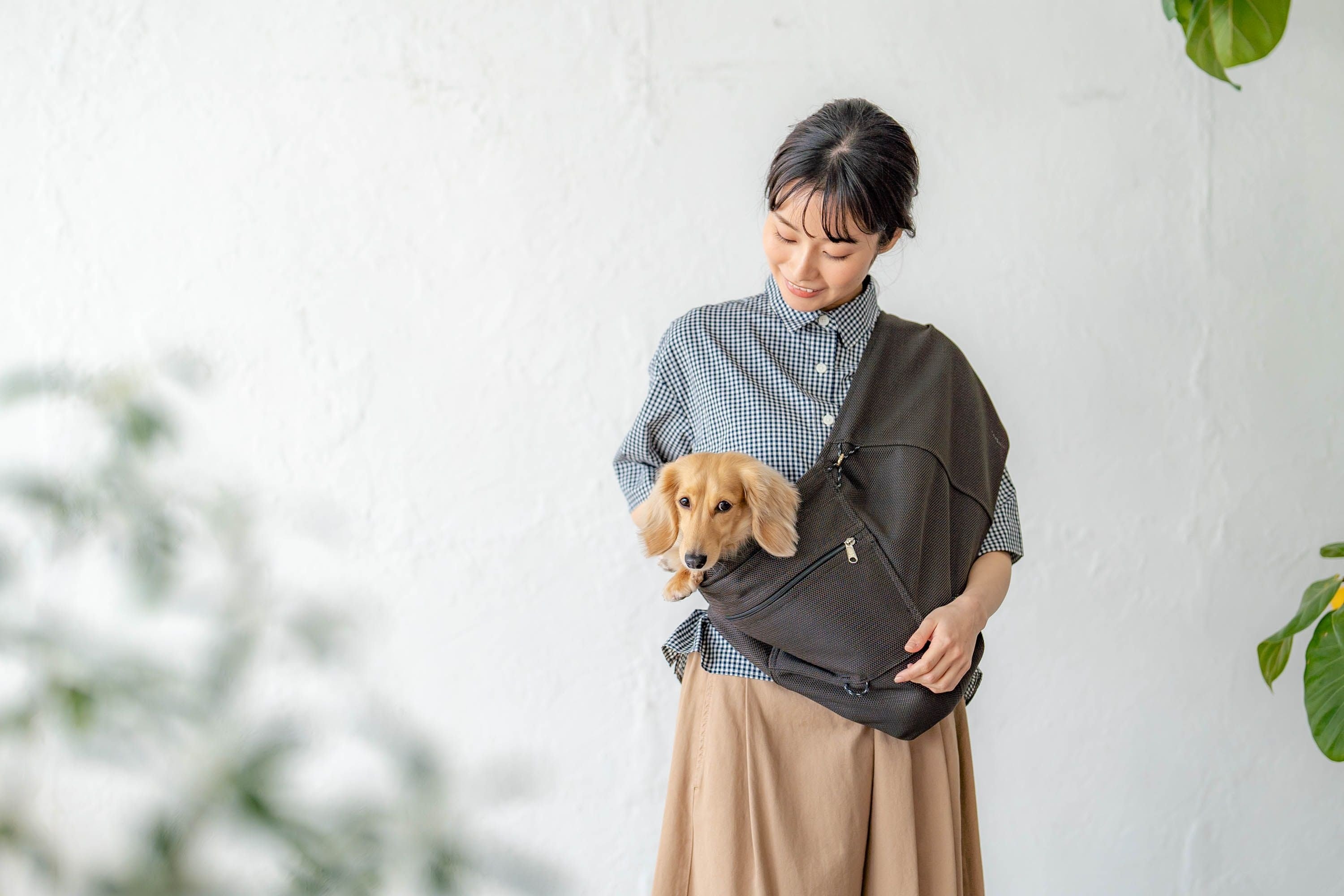 真夏の地面は65度超 “メッシュドッグスリング”で夏の地面から愛犬を