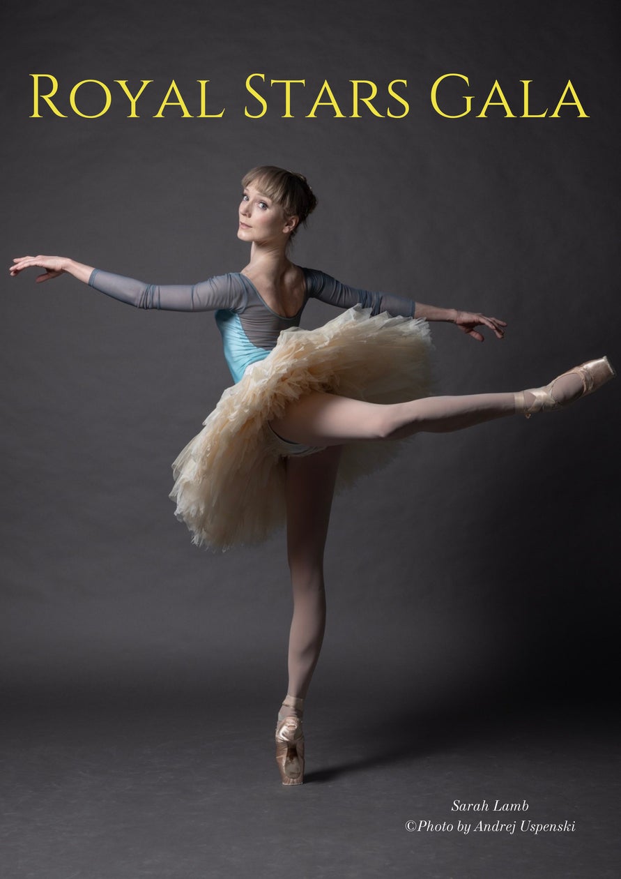 4024人気ですお勧め品 イギリス発行バレエ4種揃 4024人気ですお勧め品