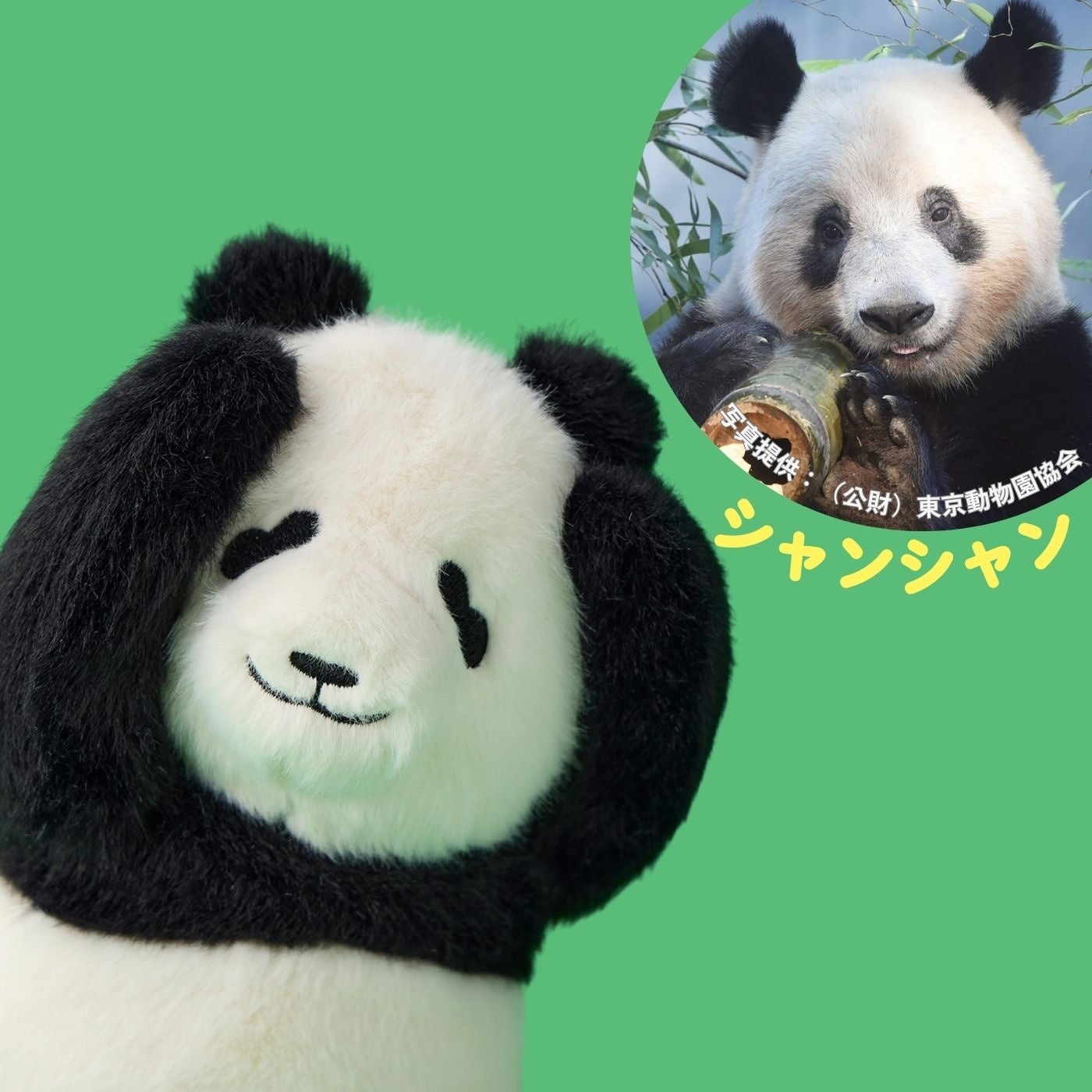 上野動物園の“シャンシャン・シャオシャオ・レイレイ”をモチーフにした