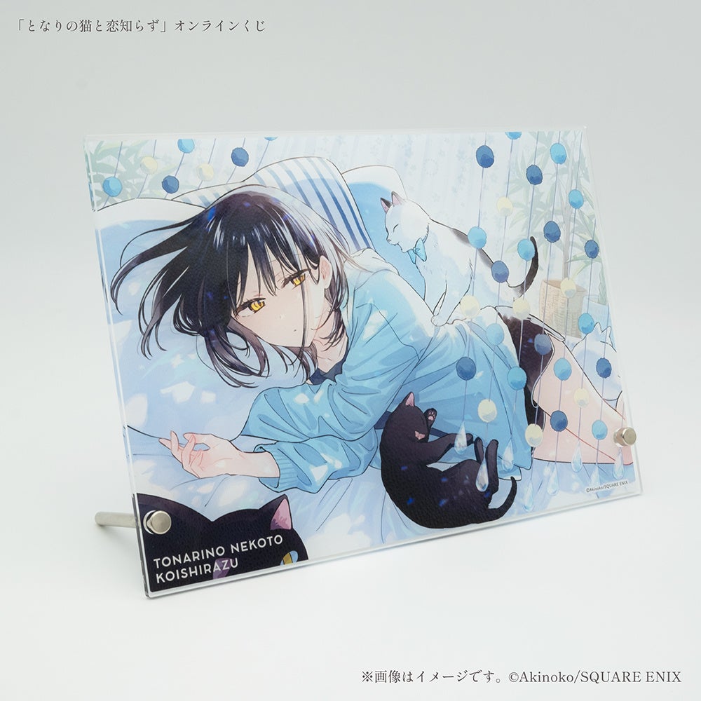 となりの猫と恋知らず』オンラインくじ予約受付開始！ | 株式会社