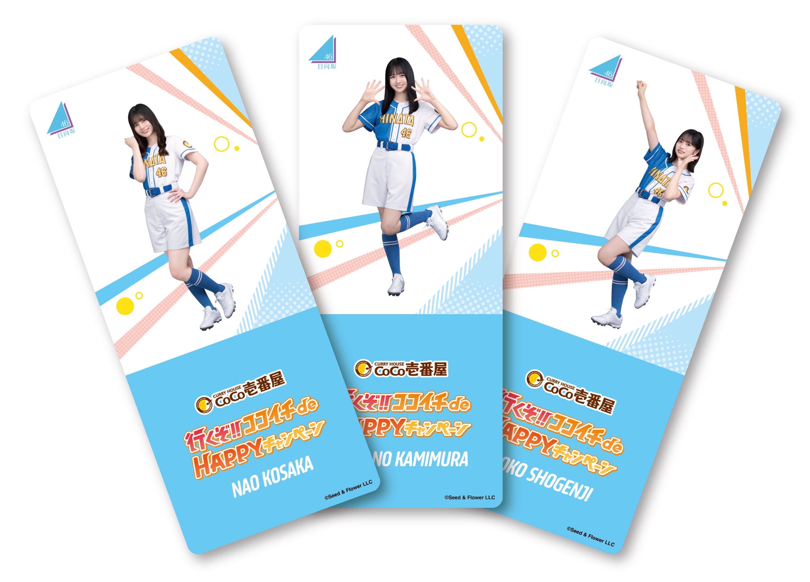 日向坂46DASADA、CoCo壱グッズ 日向坂46DASADA、CoCo壱グッズ カレー