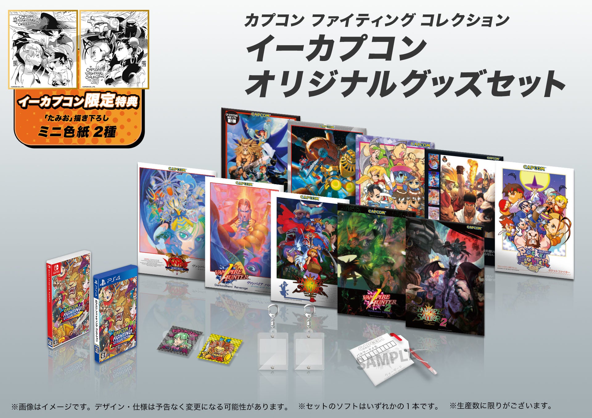 ヴァンパイアセイヴァー イーカプコン A4 クリアファイル 竹