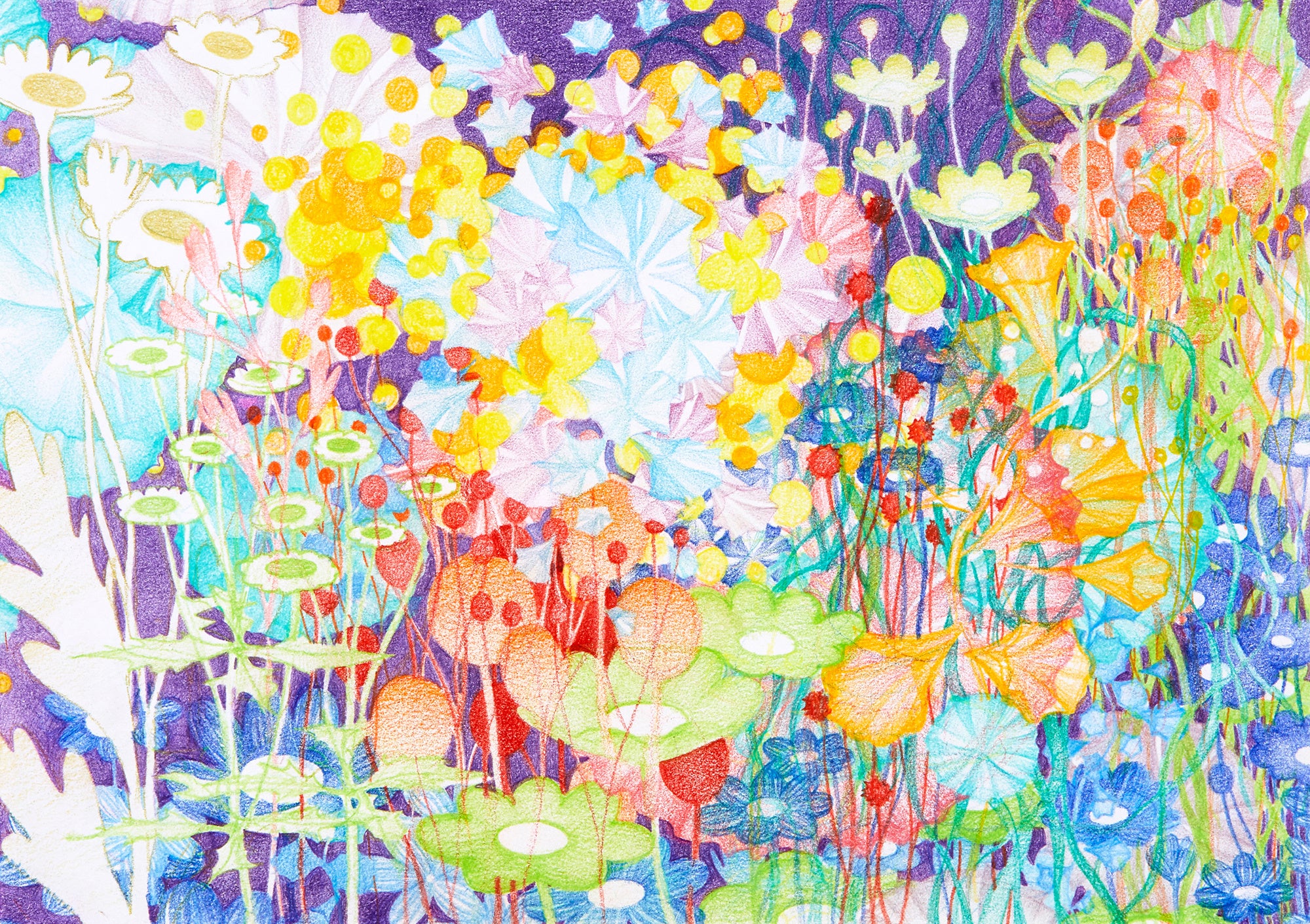 art 絵画 曽谷朝絵 オリジナルドローイングとサイン入り本 art 絵画