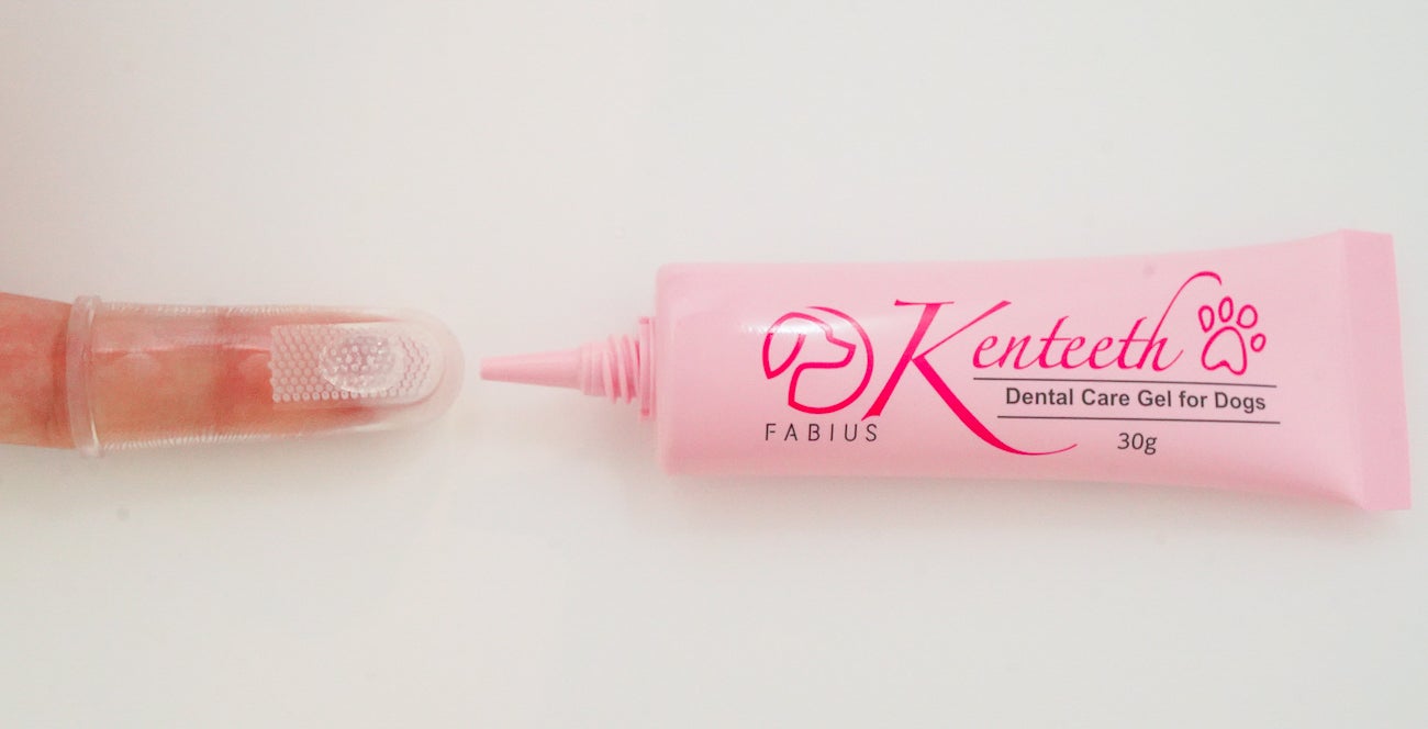 愛犬用歯みがきジェル「Kenteeth（ケンティス）」新発売！圧倒的な