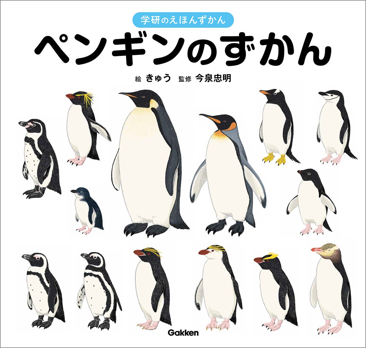 ペンギンがまるごとわかる絵本図鑑、『ペンギンのずかん』が誕生