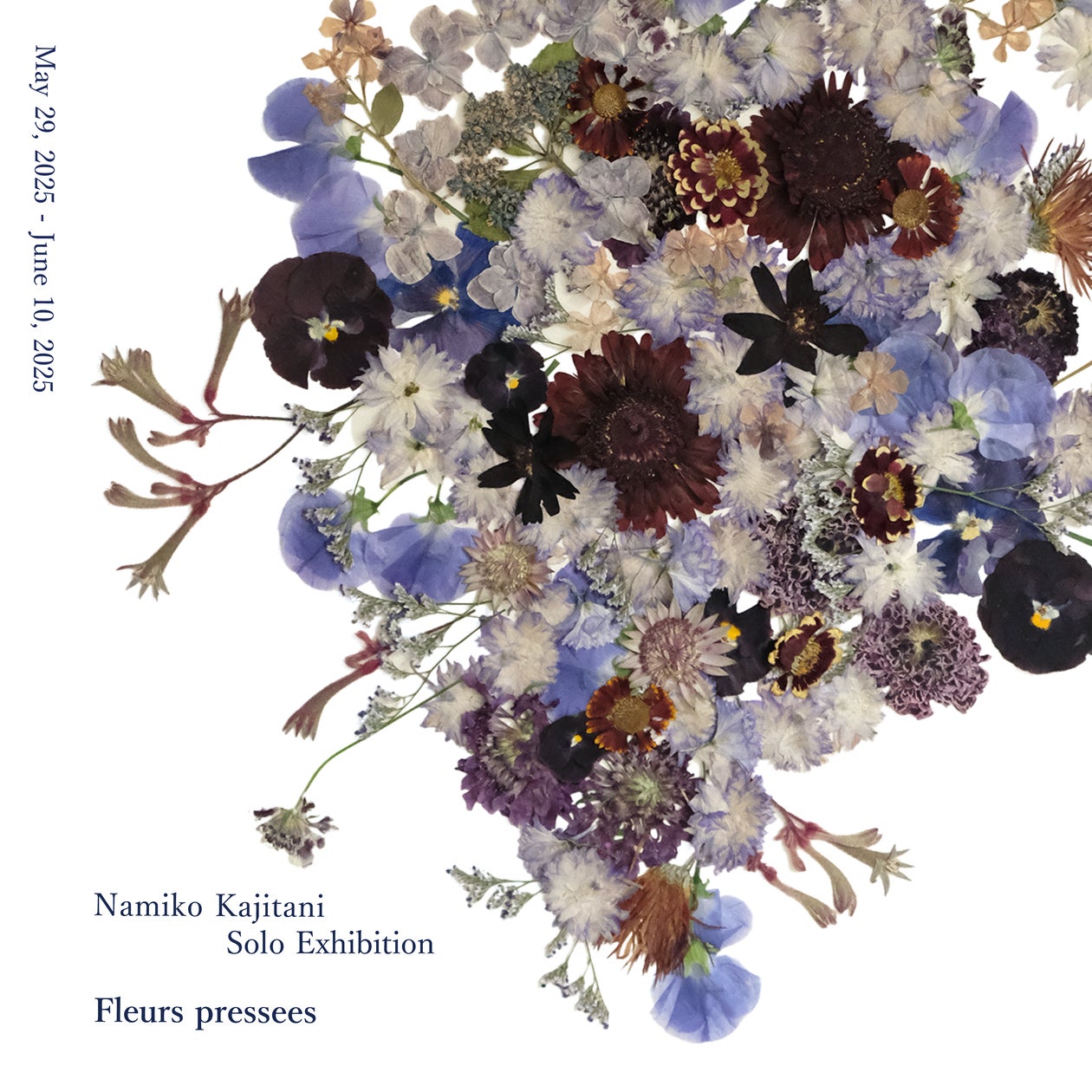 アルフレックス大阪】移ろいゆく美しさを味わう絵画のような押し花