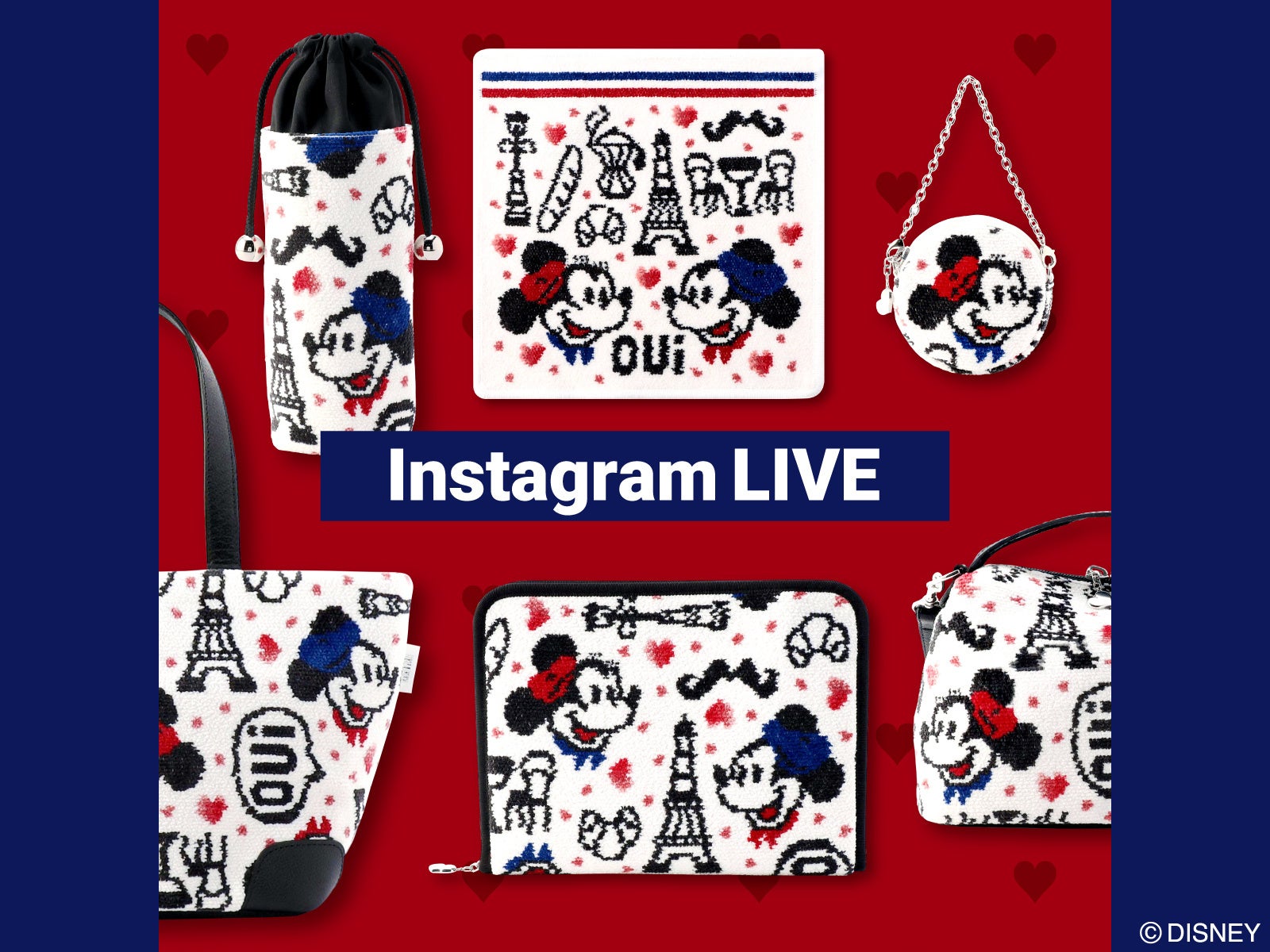 新品】フェイラー web限定 ミニー インマイリボン ゲストタオル 【公式