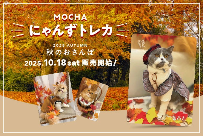 秋風情の溢れる紅葉や落ち葉と共ににゃんずたちが大集合！期間限定の
