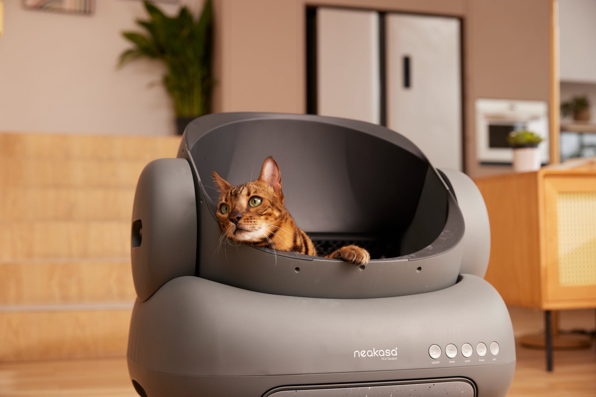 猫トイレ掃除から解放！Neakasa（ネアカサ）全自動猫トイレM1が発売