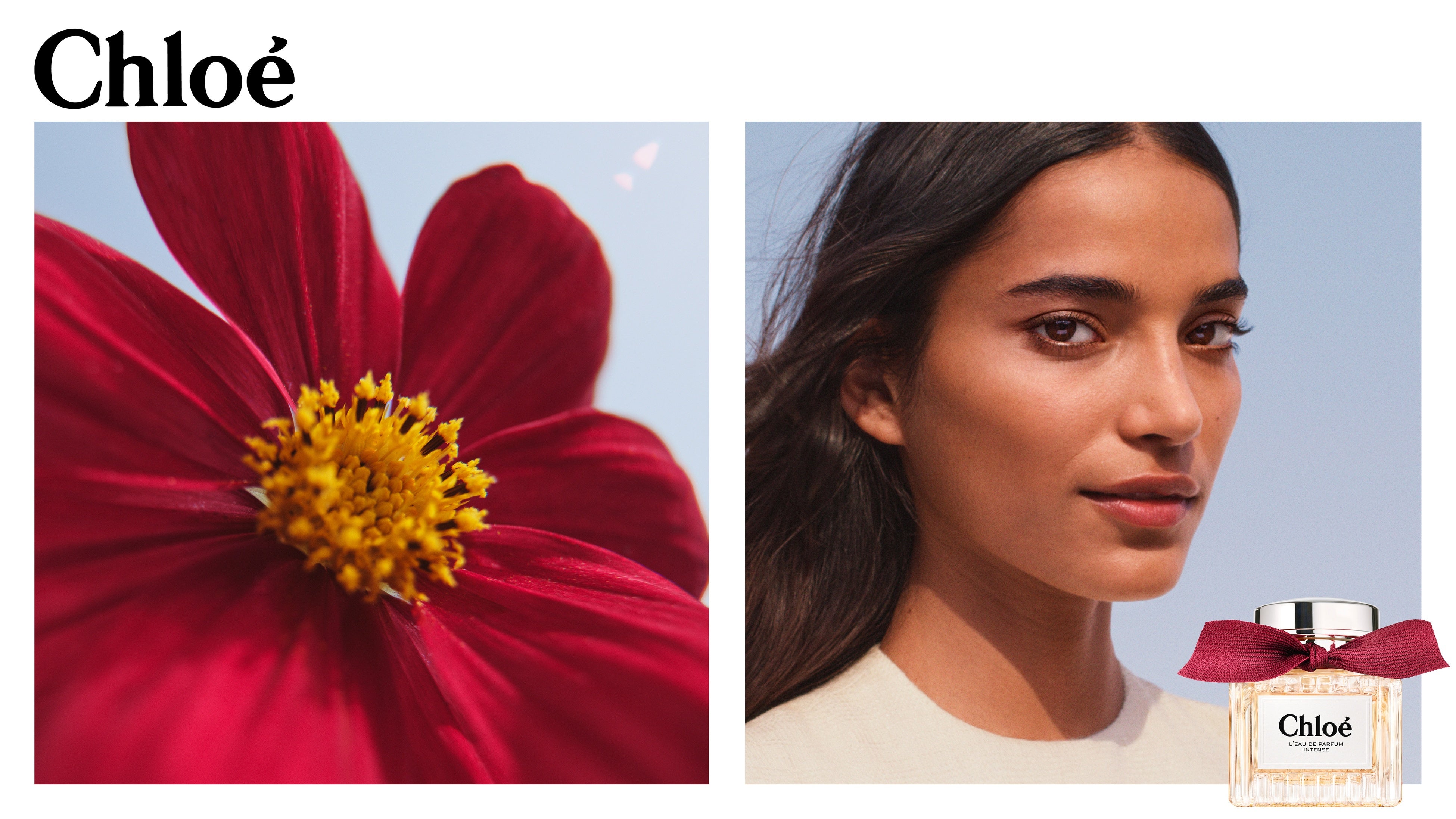 クロエ＞の象徴的なローズフレグランスがアップデート。新作