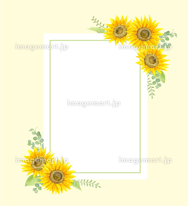 ひまわりの風景画 白フレーム付き ひまわりの風景画 白フレーム付き