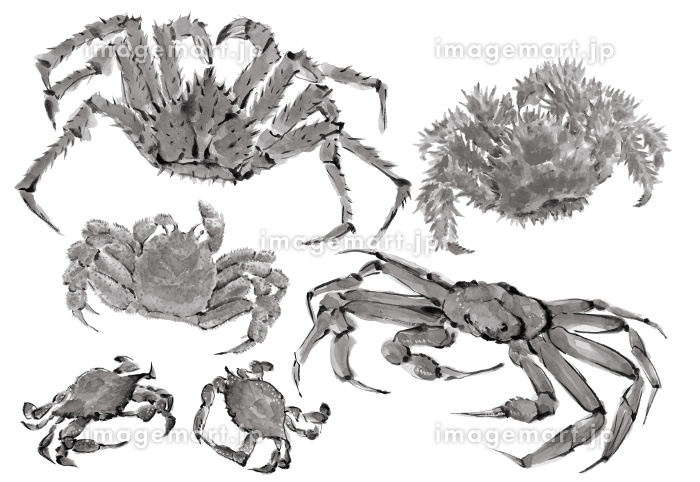 絵 絵画 水墨画 蟹 カニ 動物 心鏡 プレゼント パーティー 絵 絵画