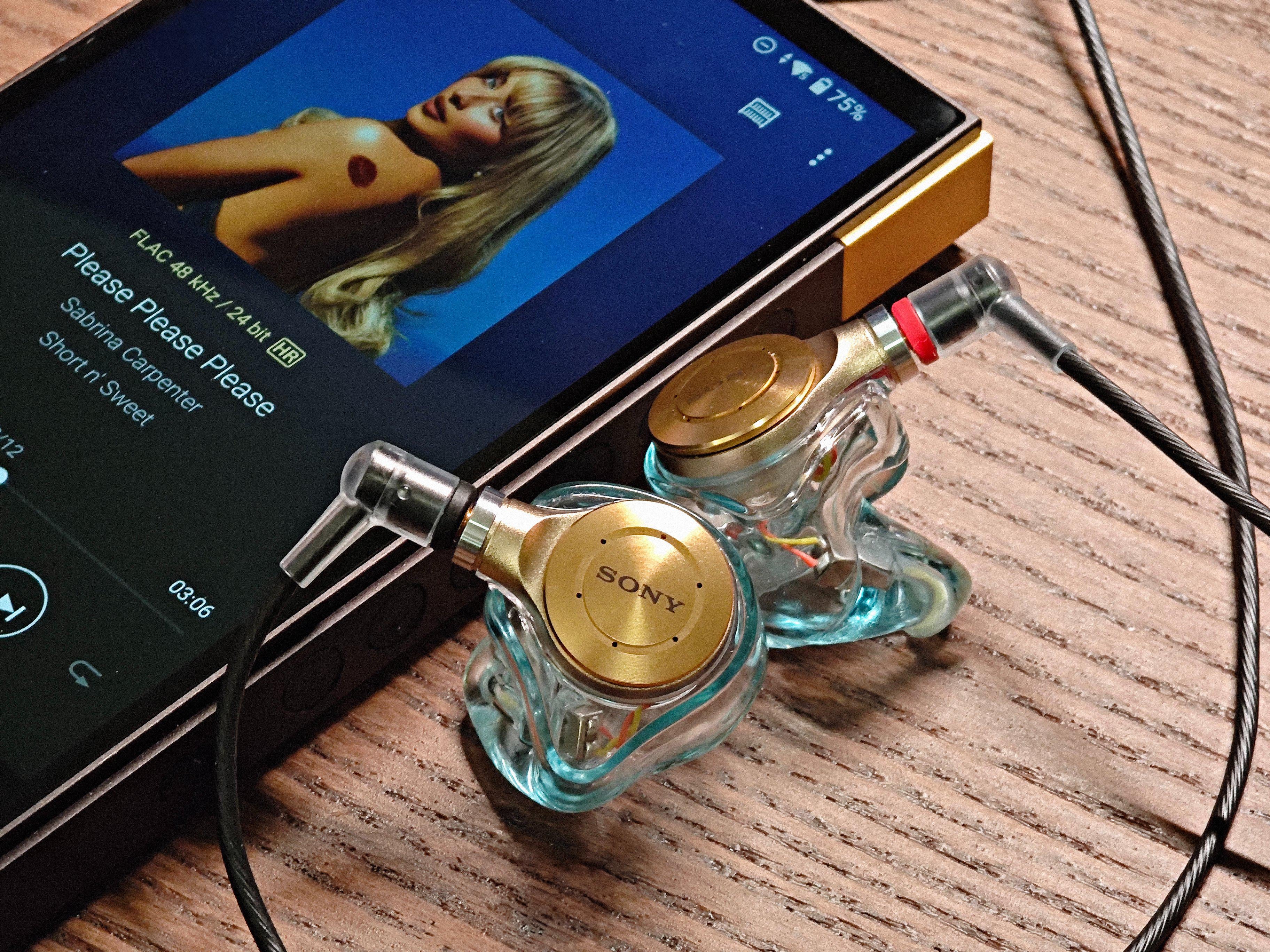 イヤホン SONY Just Ear XJE-MH2 Just Ear XJE-MH2, custom IEMs from