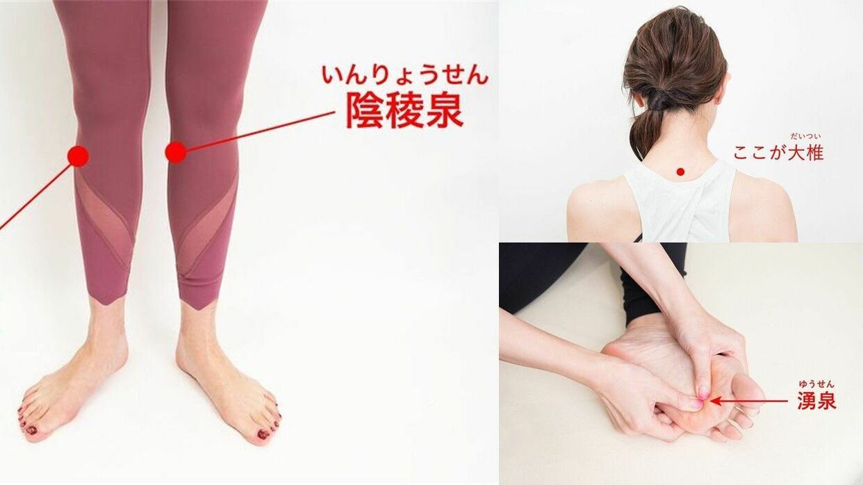 つぼ 壺5 つぼ壺5