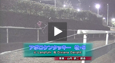 レア】ドバイワールドカップ 2018 公式ジャケット 武豊 松永幹夫 競馬