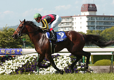 競馬】ドリームジャーニー（2009年産経大阪杯）額入りミニゼッケン