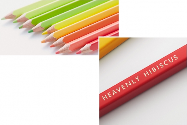 世界で100,000セット50,000,000本を販売した、『500色の色えんぴつ』新