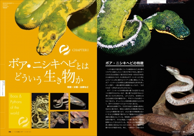 世界最長の爬虫類ニシキヘビとその仲間たちを、ダイナミックな写真と