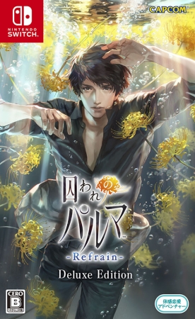 中古開封済み】囚われのパルマRefrain 購入特典 布ポスター 中古開封