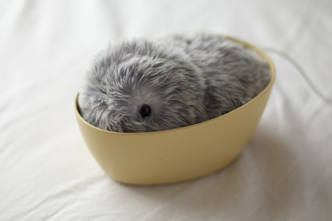 日本発のハードウェア・スタートアップ『Vanguard Industries株式会社