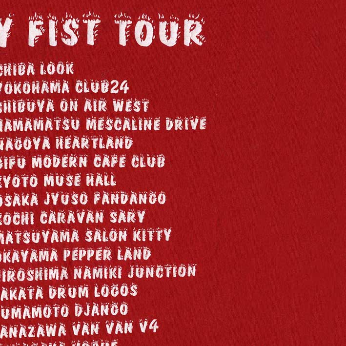 ラスト一点！新品Hi-STANDARDハイスタANGRY FISTtourツアー ラスト一点