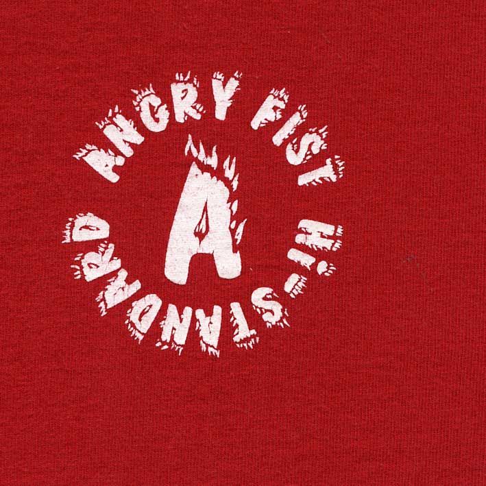 Hi-Standard / ANGRY FIST Tour 1997 T/S【Mサイズ】【ユーズド